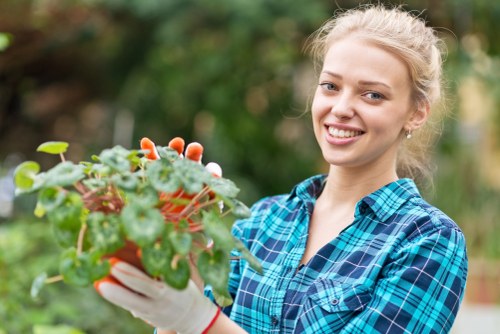 Professional hedge trimming service in Acton