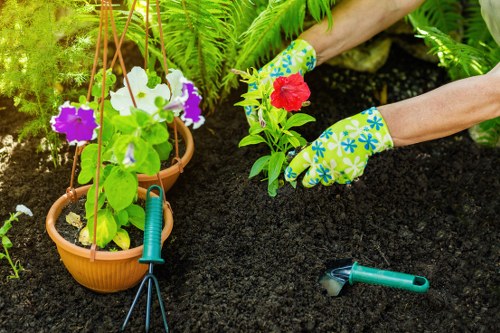 Photograph of a gardener tending a suburban Acton garden, showing accessible pathways