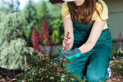 Photograph of site assessment by gardening team